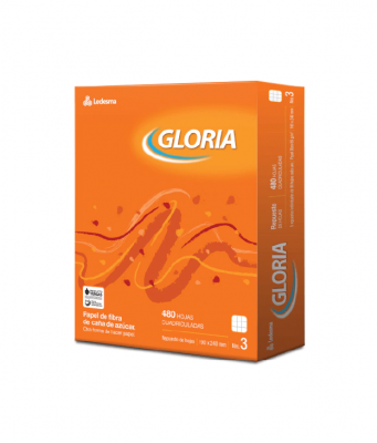 Repuesto Escolar Gloria Nº 3 480 Hj C