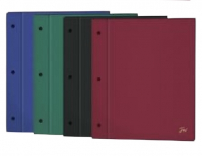 Carpeta Escolar 2 Tapas N*3  Fw Color