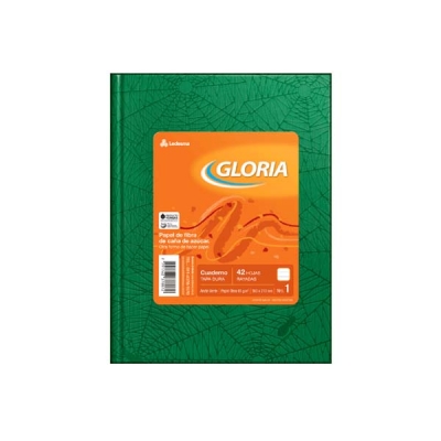 Cuaderno T/d 16x21 Gloria 42 Hj Ray Ved